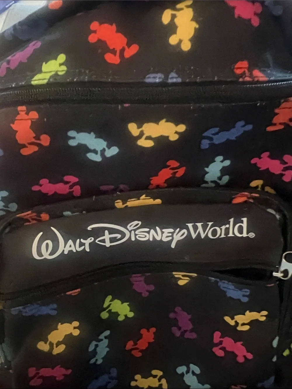 Disney Black Backpack with Rainbow Mickey Silhouettes